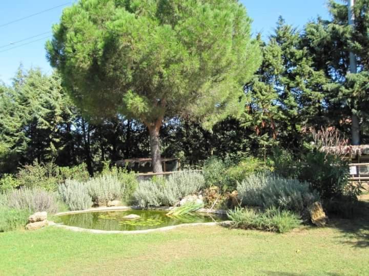 Вилла Parco Delle Streghe Скарлино Экстерьер фото